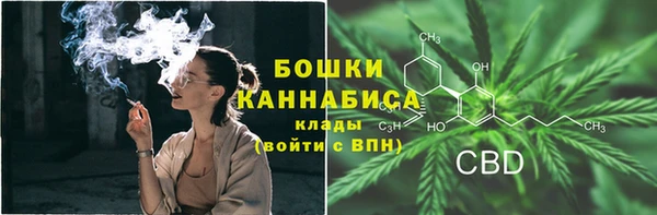 соль курить ск Белокуриха