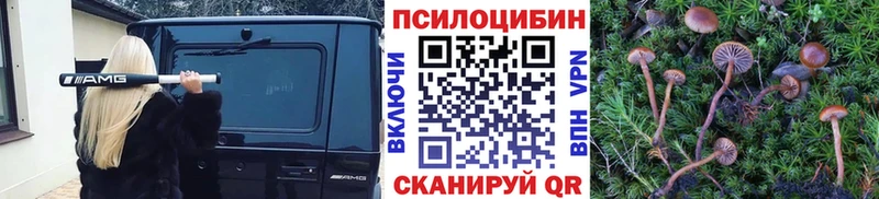 как найти закладки  mega ONION  Псилоцибиновые грибы Cubensis  Юрьевец 